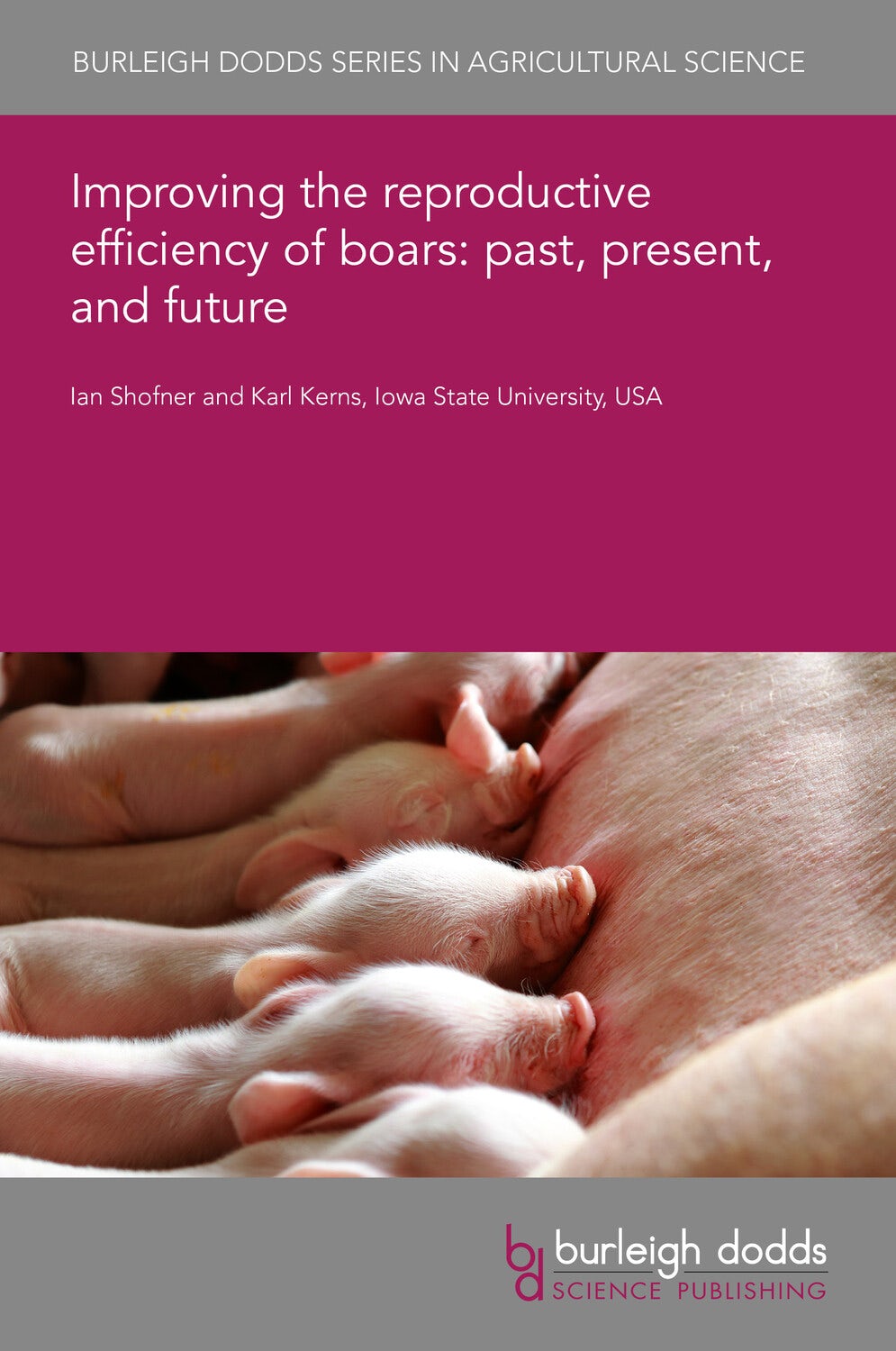 Book cover image for Improving the reproductive efficiency of boars: past, present, and future ISBN: 9781835454008